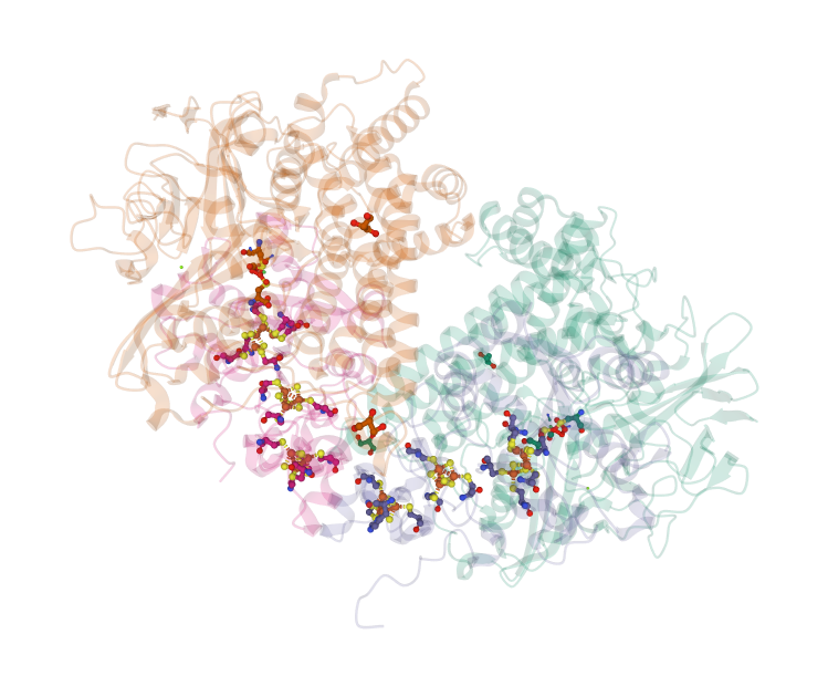 A metalloenzyme responsible for hydrogen utilization containing a NiFe metal center and a number of FeS clusters